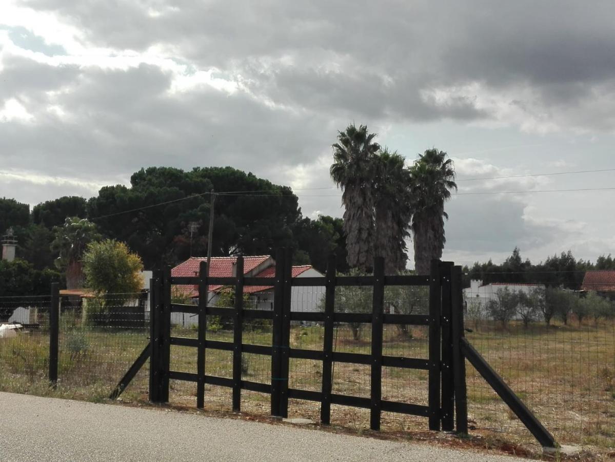 Fazenda Do Marante Vandrehjem Tomar Eksteriør billede