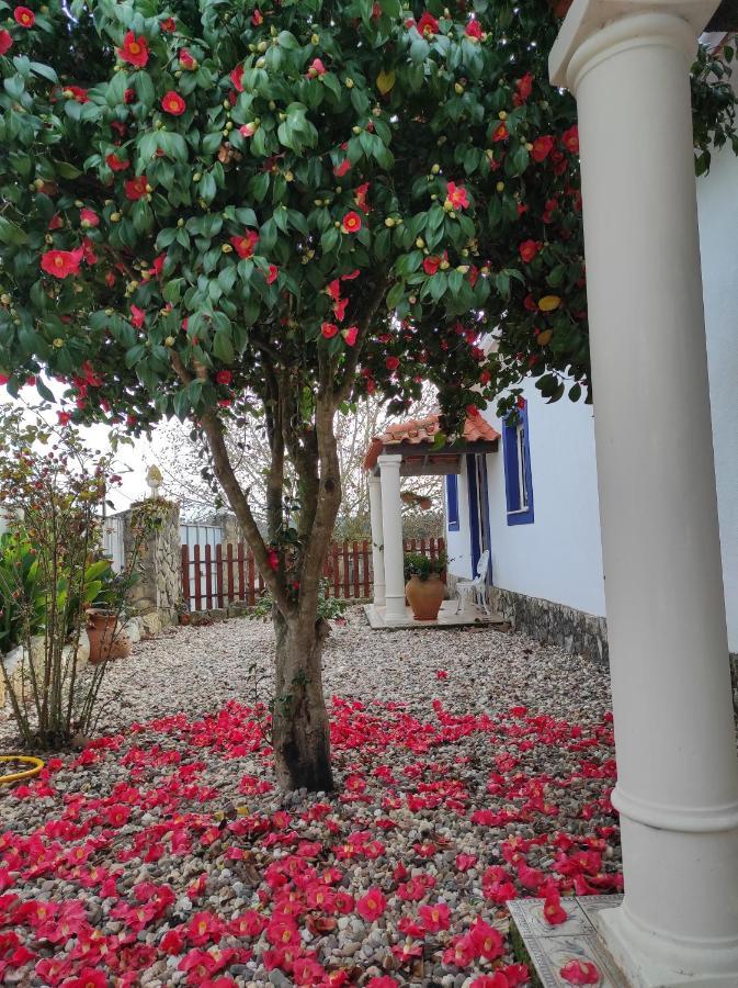 Fazenda Do Marante Vandrehjem Tomar Eksteriør billede