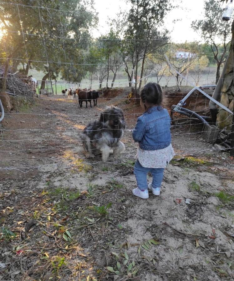 Fazenda Do Marante Vandrehjem Tomar Eksteriør billede