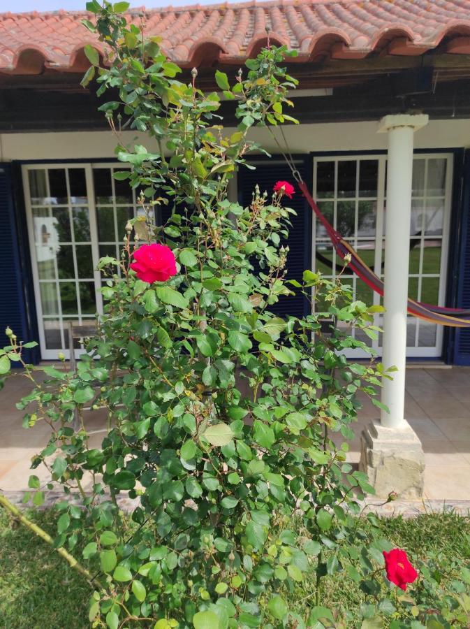 Fazenda Do Marante Vandrehjem Tomar Eksteriør billede